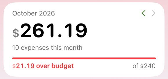 Monthly total card with a red progress bar: $21.19 over budget of $240